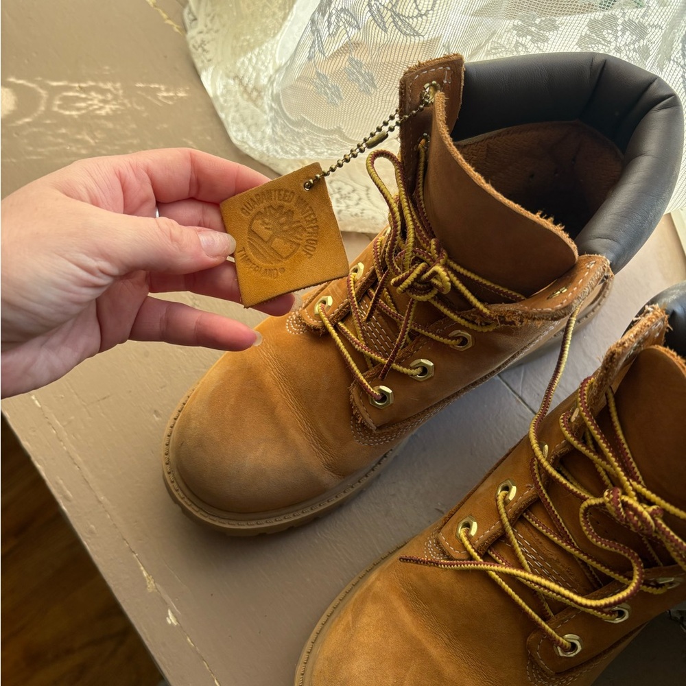 Timberlands - Picture 4 of 4